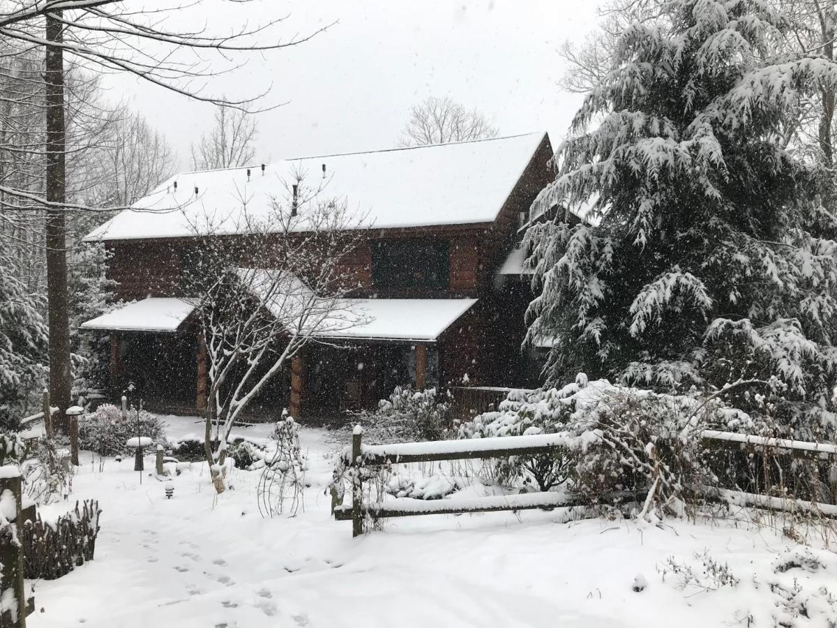 Lazy Bear Lodge Valle Crucis エクステリア 写真