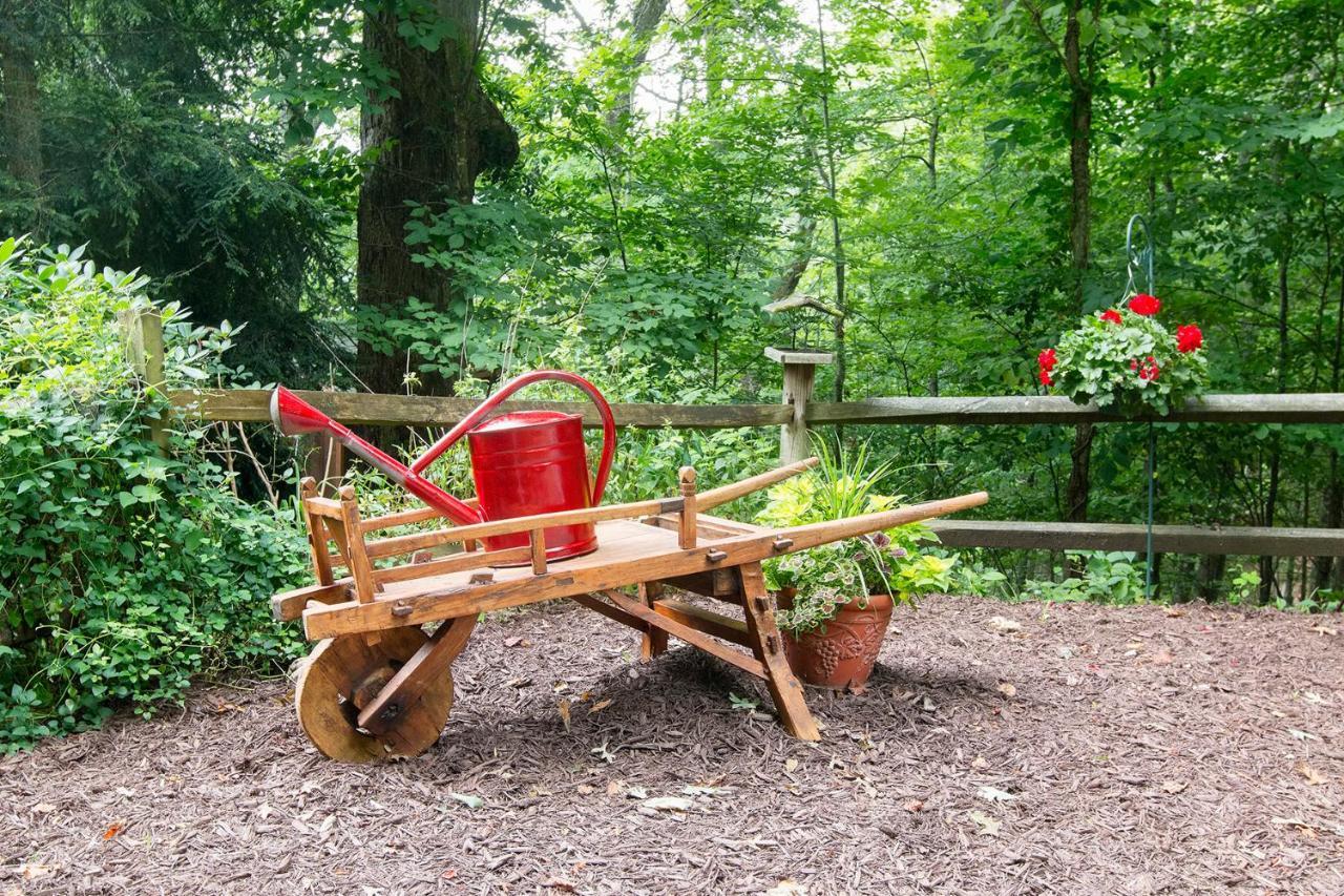 Lazy Bear Lodge Valle Crucis エクステリア 写真